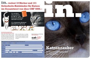 Katzenzauber - IN-Media