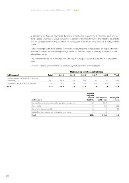 Annual Report 2012 - Indesit