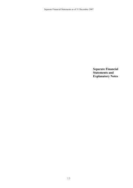 Separate Financial Statements 2007 - Indesit