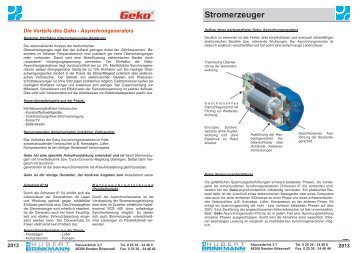 Stromerzeuger - Brinkmann H.