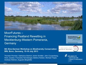 MoorFutures–Financing peatland rewetting in Mecklenburg-Western ...