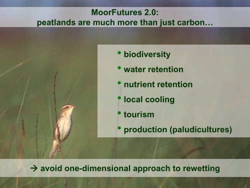 MoorFutures–Financing peatland rewetting in Mecklenburg-Western ...