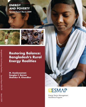 Bangladesh's Rural Energy Realities - India Environment Portal