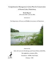 Conservation of Ousteri lake in Puducherry - India Environment Portal