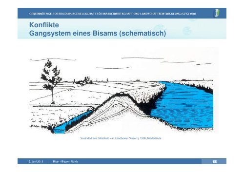 Biber-Bisam-Nutria-DWA-Grundkurs-5 -x Logo klein ... - GfG