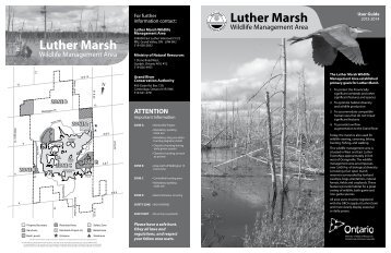 Luther Marsh Wildlife Management Area - Grand River Conservation ...