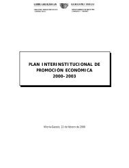 plan interinstitucional de promociÃ³n econÃ³mica 2000-2003