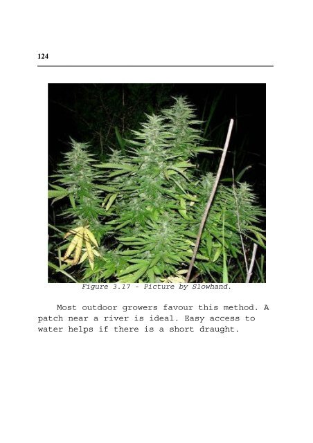 Cannabis Grow Bible.pdf - the DMT-Nexus