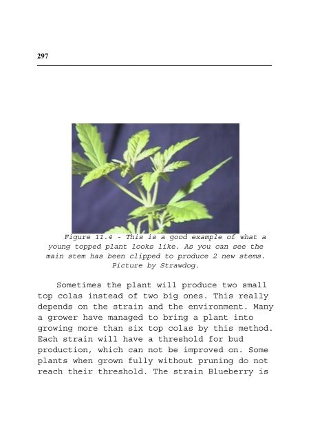 Cannabis Grow Bible.pdf - the DMT-Nexus