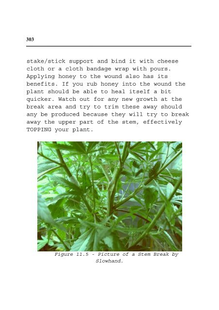 Cannabis Grow Bible.pdf - the DMT-Nexus