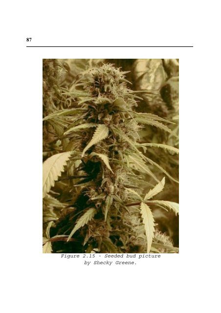 Cannabis Grow Bible.pdf - the DMT-Nexus