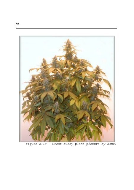 Cannabis Grow Bible.pdf - the DMT-Nexus