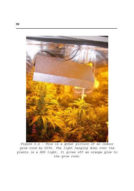 Cannabis Grow Bible.pdf - the DMT-Nexus