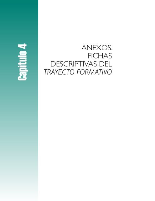 4. Anexos. Fichas descriptivas del Trayecto formativo - Instituto ...