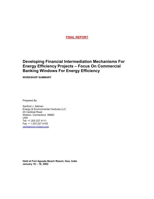 Developing Financial Intermediation Mechanisms For Energy ... - INEE