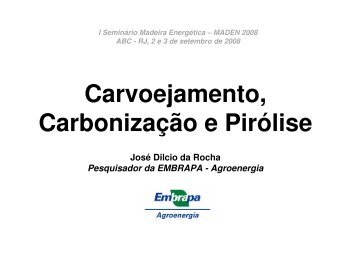 Carvoejamento, Cabonização e Pirólise - INEE