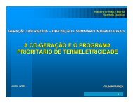 a co-geração eo programa prioritário de termeletricidade - INEE