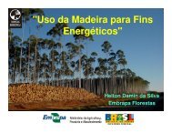 O Uso da Madeira para Fins Energéticos - INEE
