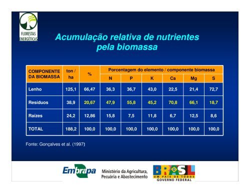 O Uso da Madeira para Fins Energéticos - INEE