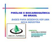 pirólise e biocarboquímica no brasil bases para desenvolver ... - INEE