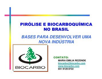 pirólise e biocarboquímica no brasil bases para desenvolver ... - INEE