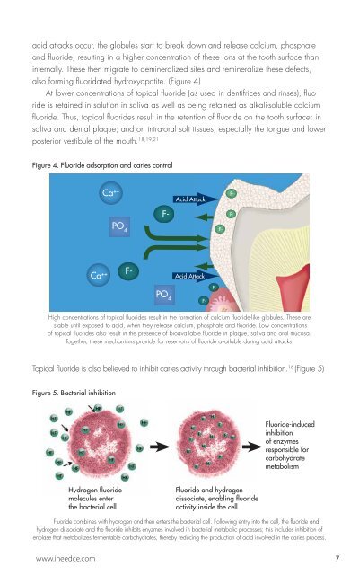 Fluoride Guide - IneedCE.com