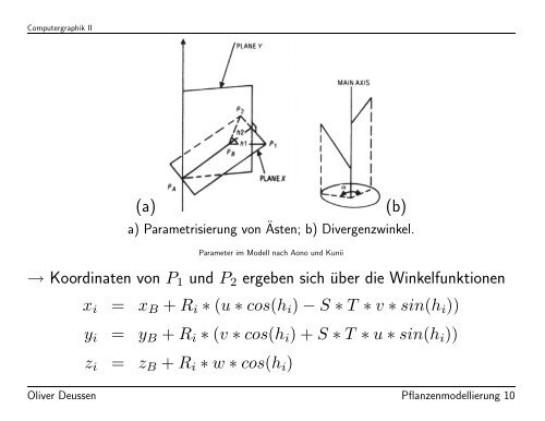 Modellierung von Pflanzen