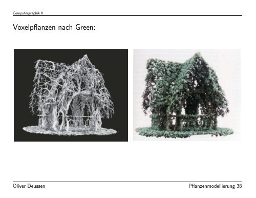 Modellierung von Pflanzen