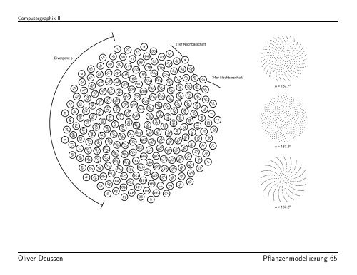 Modellierung von Pflanzen