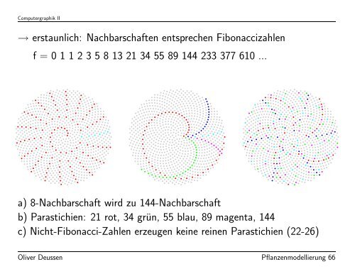 Modellierung von Pflanzen