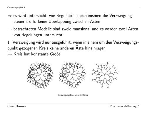 Modellierung von Pflanzen