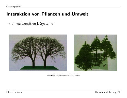 Modellierung von Pflanzen