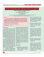 Small ornamental plants with tiny flowers for garden.pdf