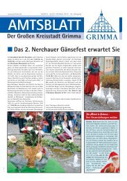 Download - Stadt Grimma