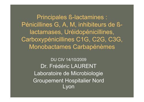 Principales Ã-lactamines : PÃ©nicillines G, A, M ... - Infectiologie