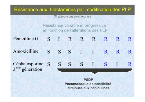 Principales Ã-lactamines : PÃ©nicillines G, A, M ... - Infectiologie