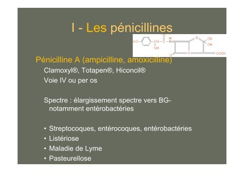 Principales Ã-lactamines : PÃ©nicillines G, A, M ... - Infectiologie