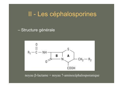 Principales Ã-lactamines : PÃ©nicillines G, A, M ... - Infectiologie