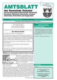 Amtsblatt Nr. 05 vom 21. März 2013 (1.60 MB) - Gemeinde Salzatal