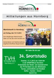 Amtliches_Nachrichtenblatt_Hornberg_Nr. 46_vom 14.11.2013