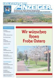 Stadtanzeiger 2013-06 - Heilbad Heiligenstadt