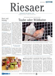 Ausgabe vom 16.08.2013 (pdf, 5038KB) - Riesa