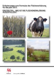 Erläuterungen zum Formular der Flächenerklärung für das jahr 2013 ...