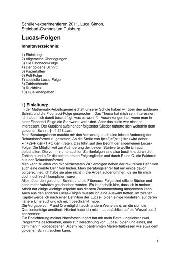 Um Details der Arbeit (pdf-Datei) - Steinbart-Gymnasium