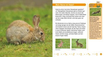 Mein Name ist Hase? - Hase und Igel