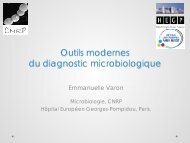 Outils modernes du diagnostic microbiologique - Infectiologie