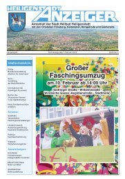 Stadtanzeiger 2013-03 - Heilbad Heiligenstadt