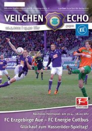 (Spiel-)Fäden, liebe „Veilchen”… - FC Erzgebirge Aue
