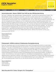 ASEW-Newsletter Februar 2013