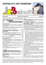 Amtsblatt vom 09.08.2013 - Baindt